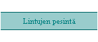 Lintujen pesintä