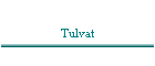 Tulvat