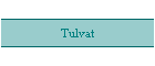 Tulvat